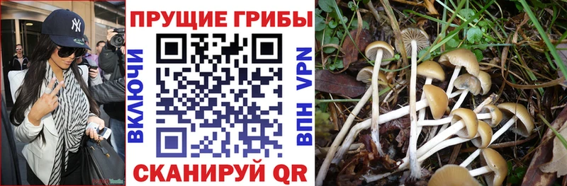 Псилоцибиновые грибы мицелий  мега вход  Раменское 